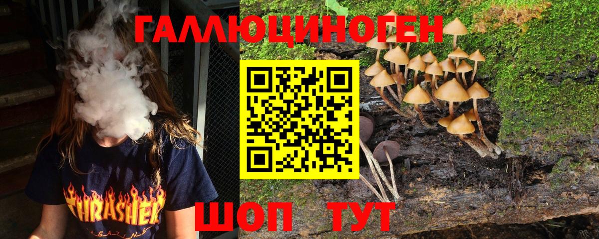 Псилоцибиновые грибы Magic Shrooms  Вход с VPN  Реж 